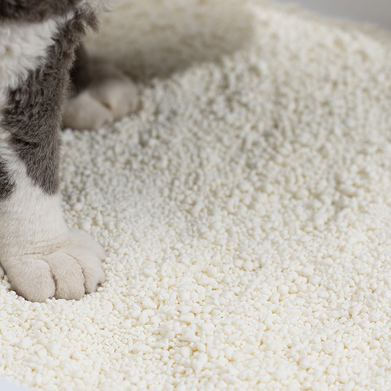 Sicurezza della lettiera di mais, pro e contro e le migliori alternative per i proprietari di gatti