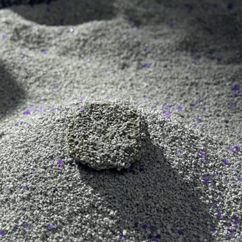 Scegliere la migliore lettiera minerale per gatti: consigli pratici per una casa più pulita